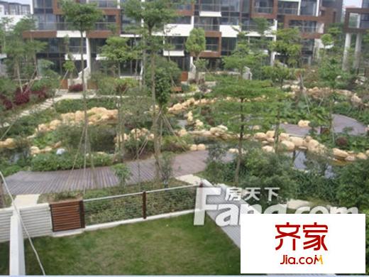 森林一號外景圖 