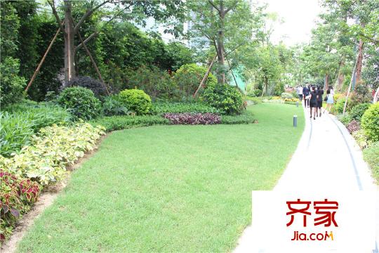 新鴻基?瓏匯園林（2015-6-19）