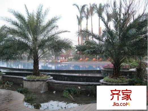 大朗碧桂園別墅外景圖外景4