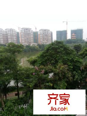 翠湖豪苑別墅外景圖 
