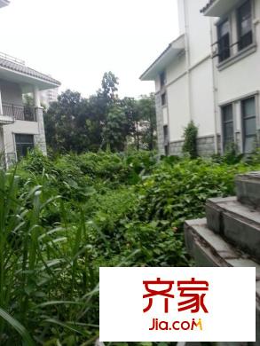翠湖豪苑別墅外景圖 