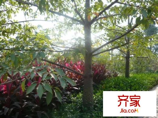 豐泰東海城堡別墅外景圖 