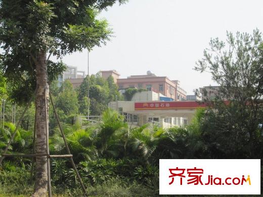 新世紀(jì)領(lǐng)居三期正門(mén)大路周邊的加油站