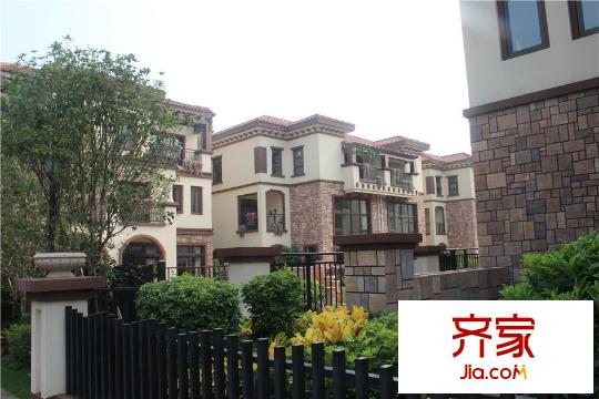 皇家翡翠灣小區(qū)綠化（2015-8-20）