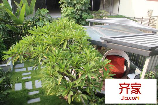 皇家翡翠灣私人后花園（2015-8-20）