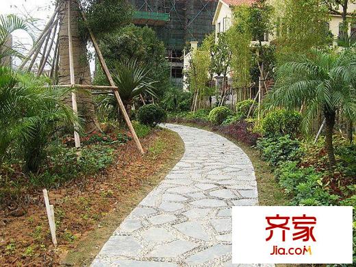 新世紀(jì)領(lǐng)居三期小區(qū)園林（2013-4-26）