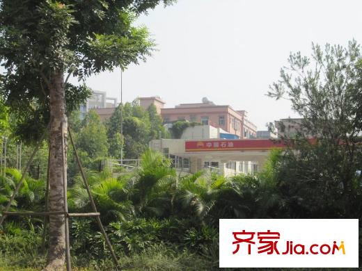 新世紀(jì)領(lǐng)居三期正門大路周邊的加油站