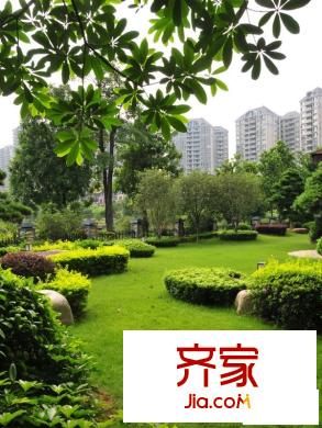 錦繡山河四期小區(qū)綠化（2013-05-27 ）
