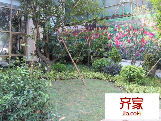 石排國際公館小區(qū)園林（2013-11-16）