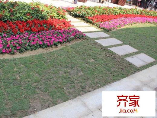 石排國際公館小區(qū)園林（2013-11-16）