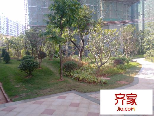 東逸灣花園小區(qū)園林（2013-12-26）