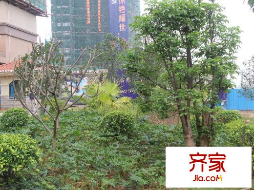 信鴻熙岸花園園林一角（2013-4-20）
