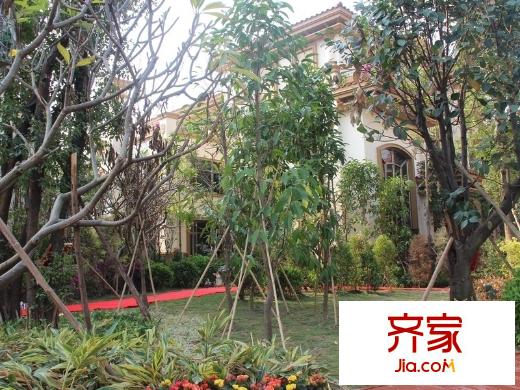 帝景中央別墅外景圖 