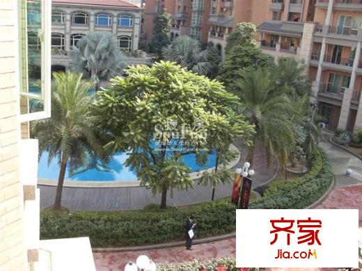 雍雅山莊棕櫚泉別墅實景圖