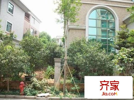 僑苑山莊別墅外景圖 