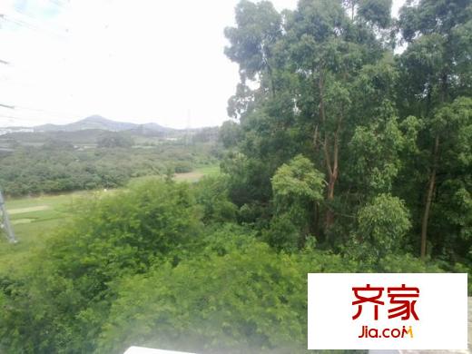 駿景高爾夫花園別墅外景圖 