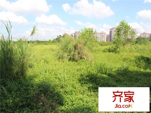 凱域花園項目外景圖