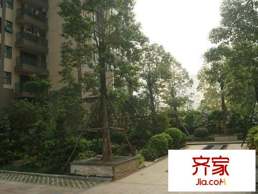 新世紀(jì)宜居小區(qū)園林（2013-4-15）