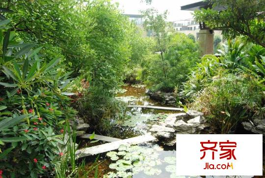 蓮湖四季豪園小區(qū)園林（2012-5-23）