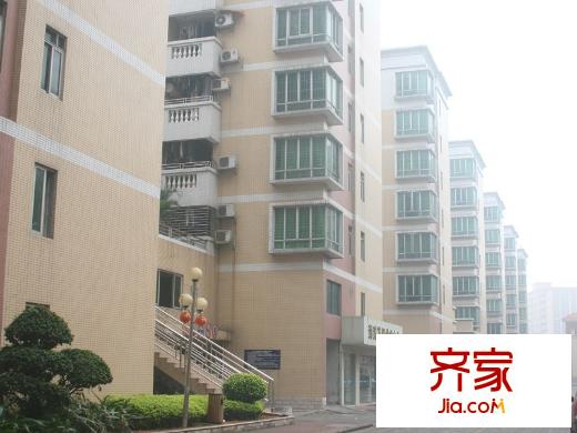 大步海濱花園三期小區(qū)實(shí)景（2013-02-05）