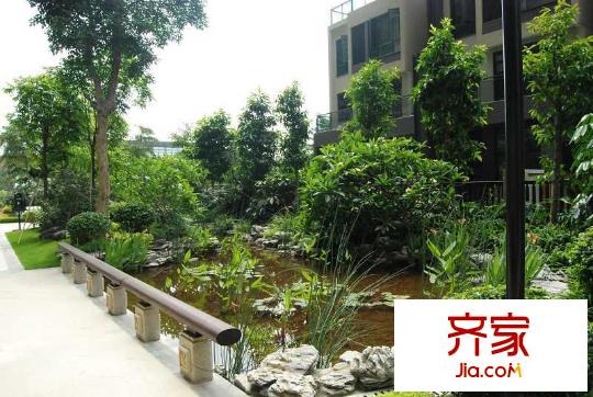 蓮湖四季豪園小區(qū)園林（2012-5-23）