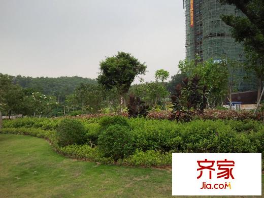 虎門國際公館小區(qū)實景（2012-5-17）
