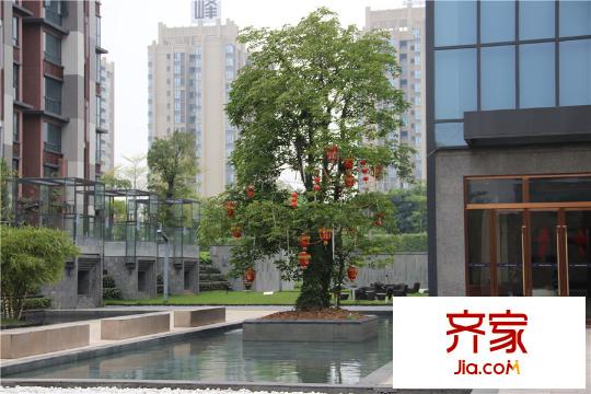 中惠卡麗蘭