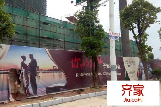 嘉宏松湖里的魚