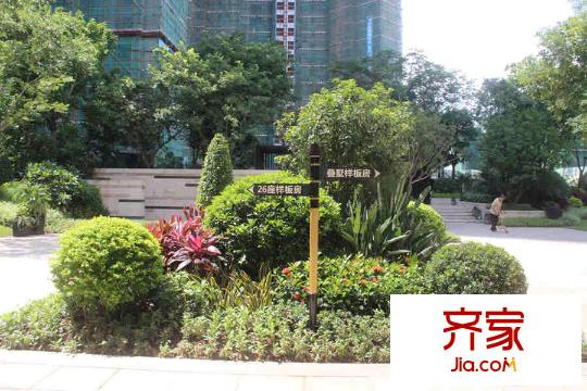 海倫灣小區(qū)園林（2015-6-15）