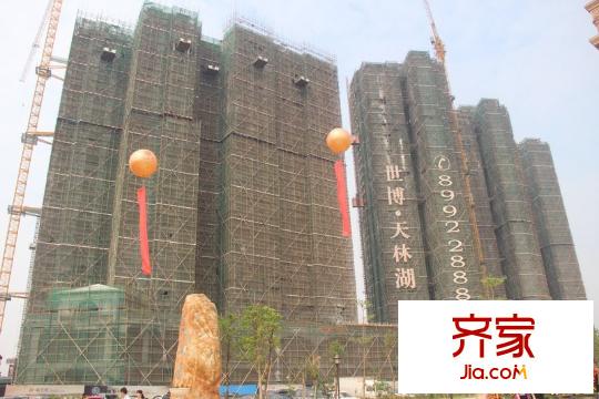 天林湖花園樓盤施工（2013-10-19）