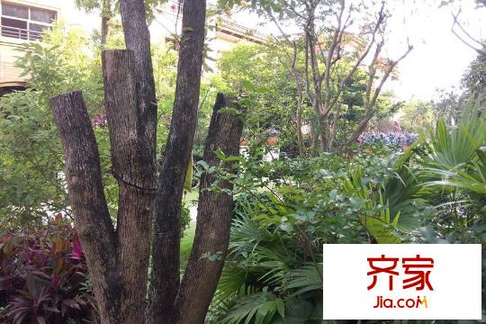 佳兆業(yè)御墅園林（2015-08-04）