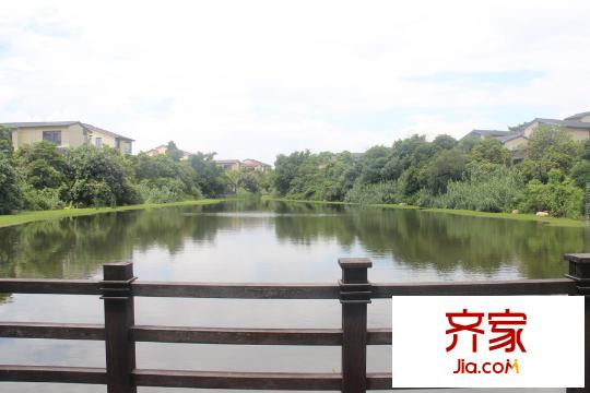 新世紀(jì)上河居小區(qū)人工湖（2015-8-3）