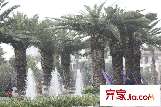佳兆業(yè)御墅小區(qū)實(shí)景圖（2015-1-26）