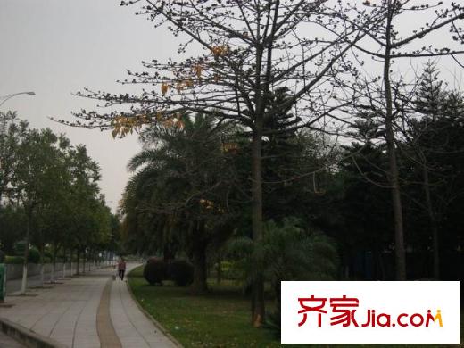 恒大帝景樓盤正前方的人行道