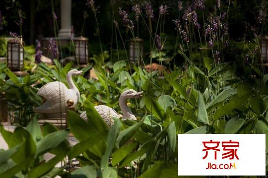 星城星筑灣園林（2012-09-06）