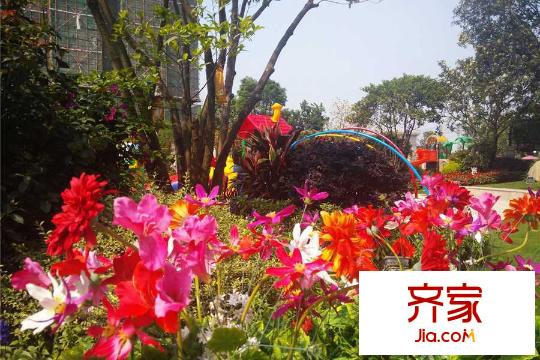 橫瀝碧桂園小區(qū)（2015-04-23）