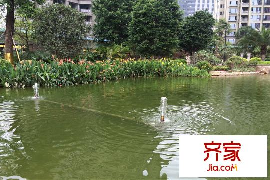 恒大華府小區(qū)園林（2015-4-20）