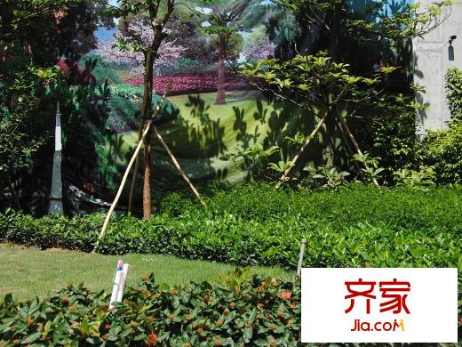 格蘭名筑小區(qū)綠化圖（2013-09-02）