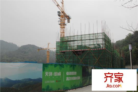 天驕御峰10棟洋房進度（2015-3-11）