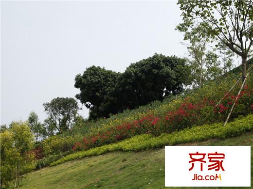 鼎峰源著項(xiàng)目外立面（2013-10-20）