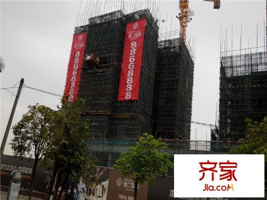 港口國際工程進度圖（2014-2-10）