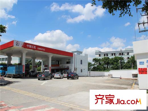 名巨中央花園小區(qū)南側(cè)200米的加油站