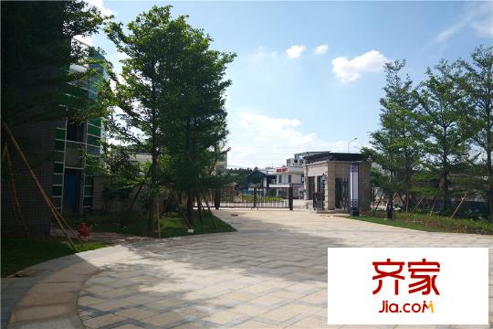 富通自在城園林（2015-8-13）