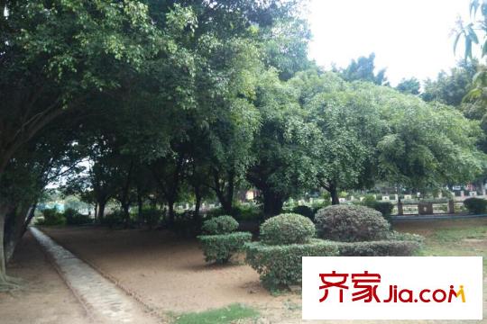 盛和豪園與小區(qū)一河之隔的綠化帶