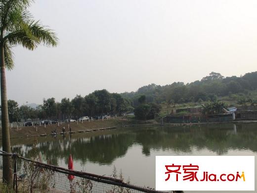 鼎峰源著東莞市植物園