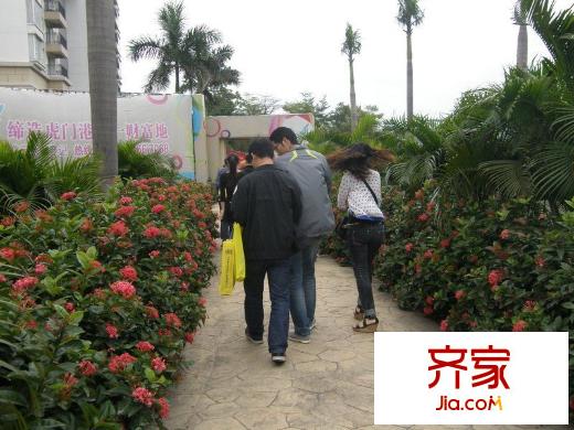 濱江豪園園林（2012-11-11）