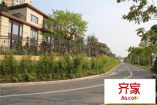 新世紀(jì)君匯半島小區(qū)園林（2015-5-5）