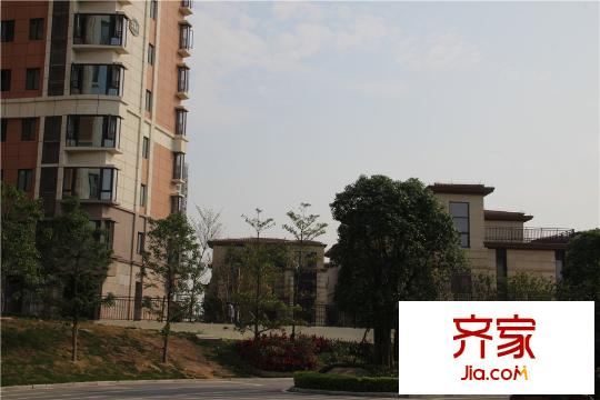 新世紀(jì)君匯半島小區(qū)園林（2015-5-5）