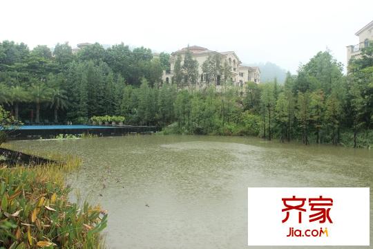 綠茵溫莎堡香堤項目湖泊（2015-9-18）