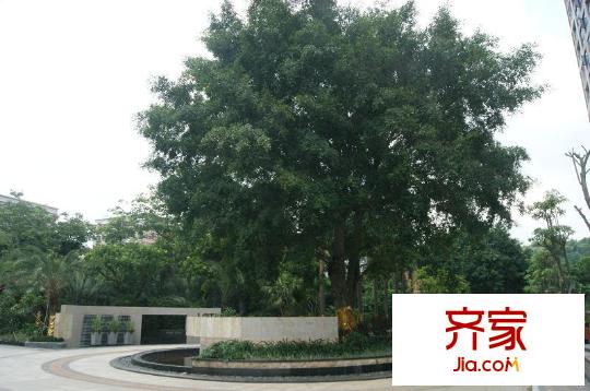 祥利上城小區(qū)園林（2012-6-28）